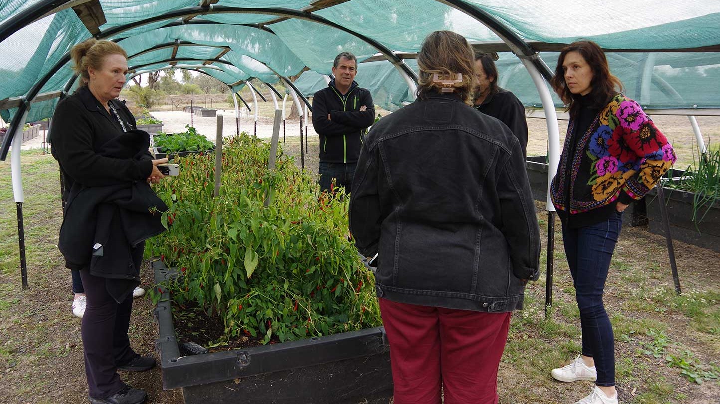 Community Garden update June 2023